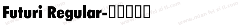 Futuri Regular字体转换